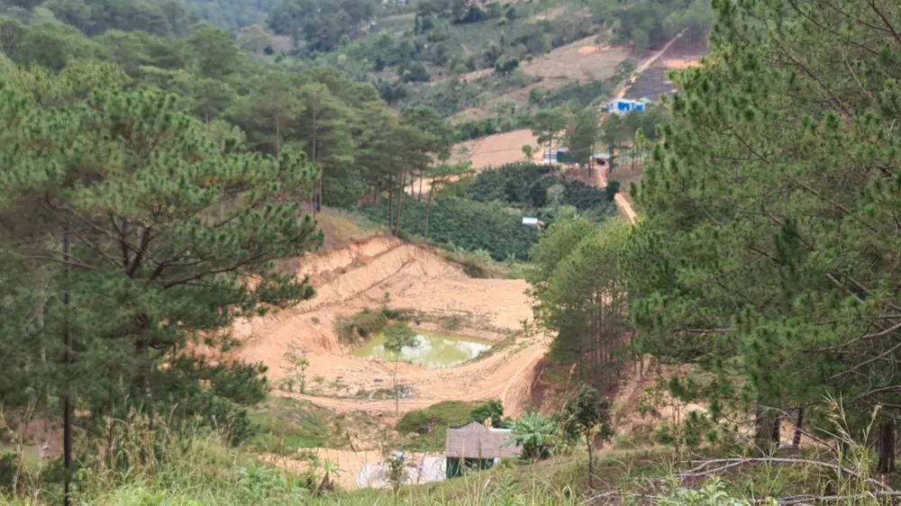 Rừng thông ở Lâm Đồng lại bị lấn chiếm, san ủi ảnh 3