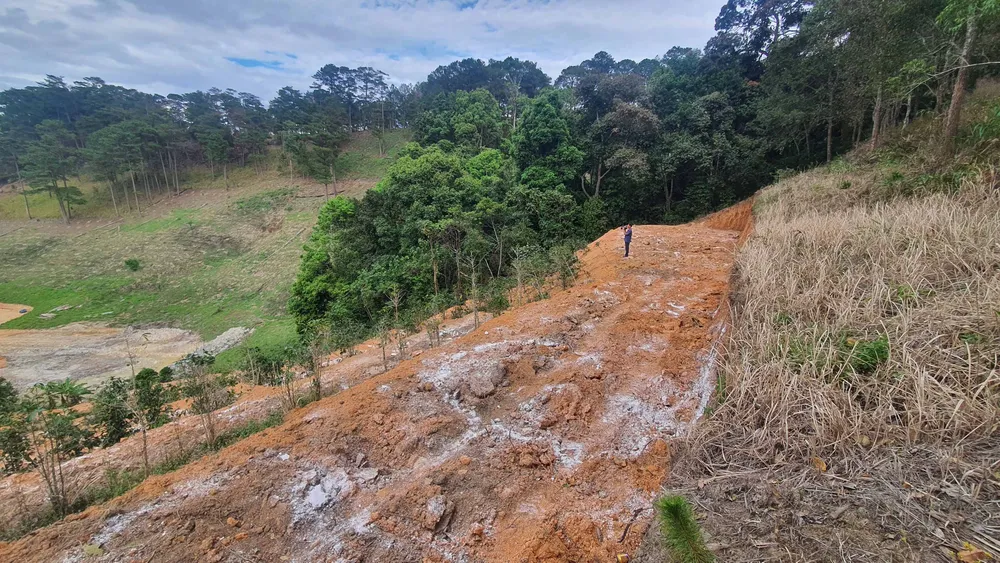 Đình chỉ công tác 2 cán bộ quản lý trong vụ rừng ở Lâm Đồng bị lấn chiếm, san ủi ảnh 1
