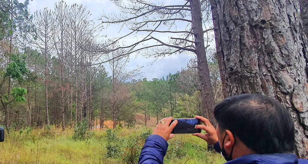 Đình chỉ công tác 2 cán bộ quản lý trong vụ rừng ở Lâm Đồng bị lấn chiếm, san ủi ảnh 3