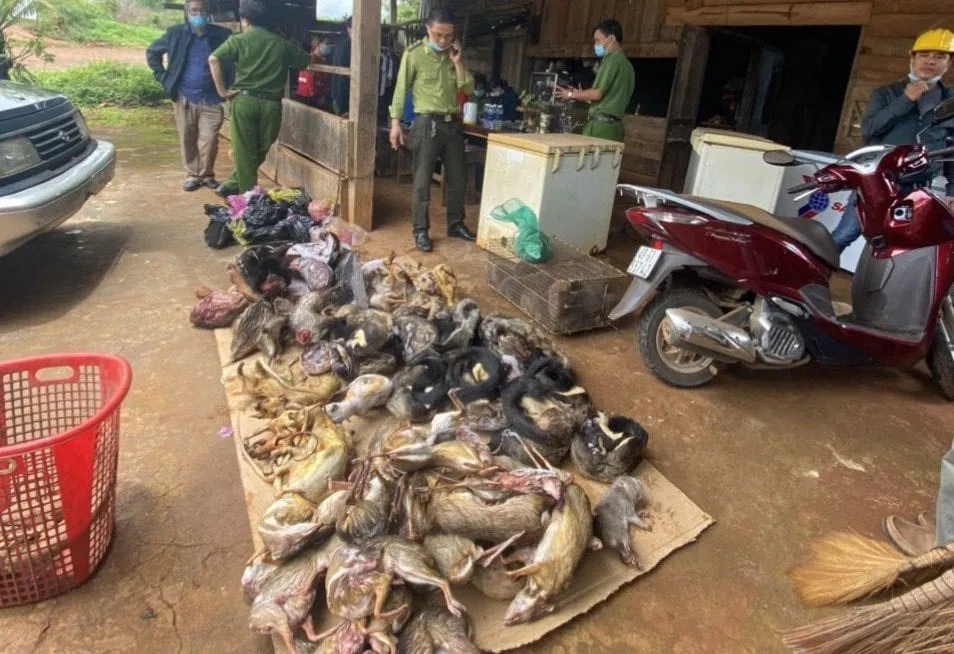 Bị phạt hơn 355 triệu đồng do tàng trữ nhiều động vật hoang dã ảnh 2