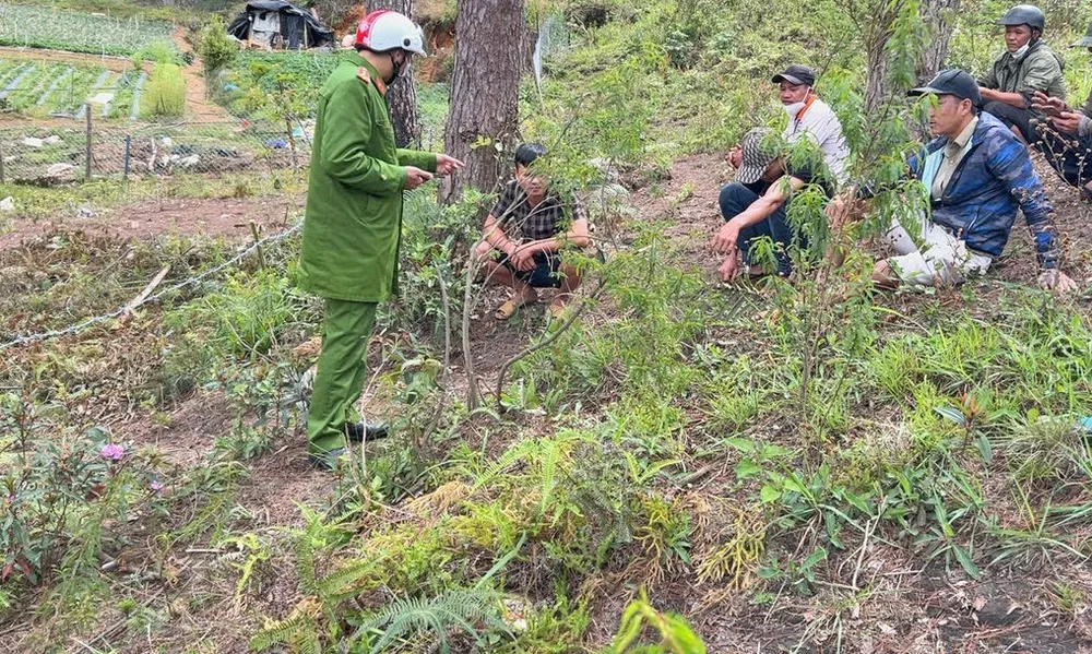 Bắt quả tang nhóm người san gạt, lấn chiếm đất rừng ở Đà Lạt ảnh 1