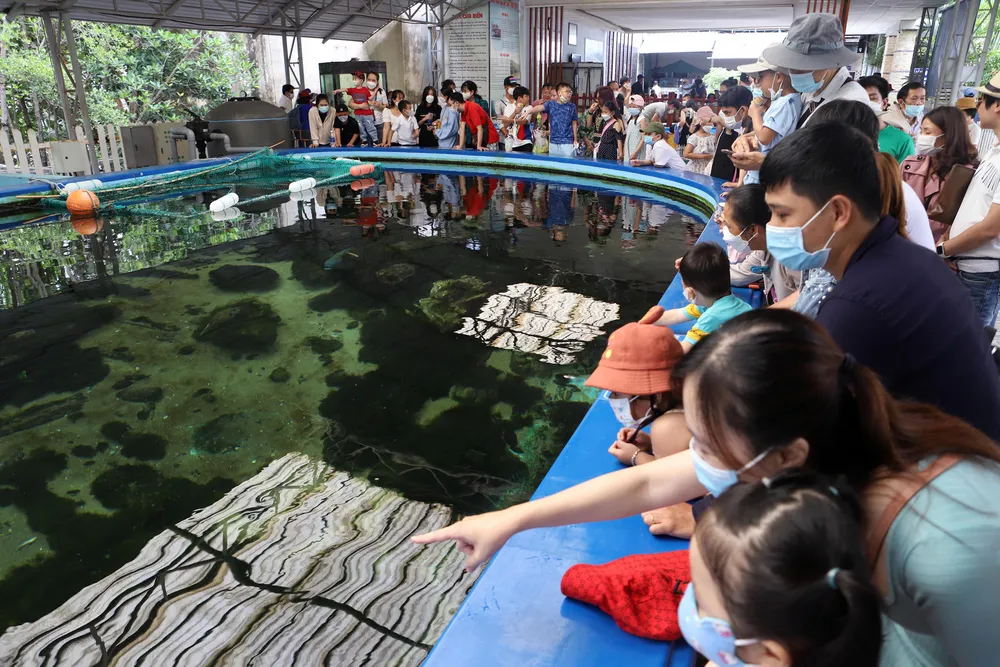 Du khách đổ về Nha Trang, đội mưa đi chơi ở Đà Lạt trong ngày đầu nghỉ lễ ảnh 4