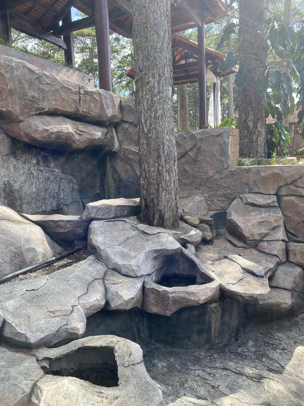 Tự ý xây quây, “nhốt” các cây thông, khu biệt thự du lịch ở Đà Lạt bị phạt tiền ảnh 1