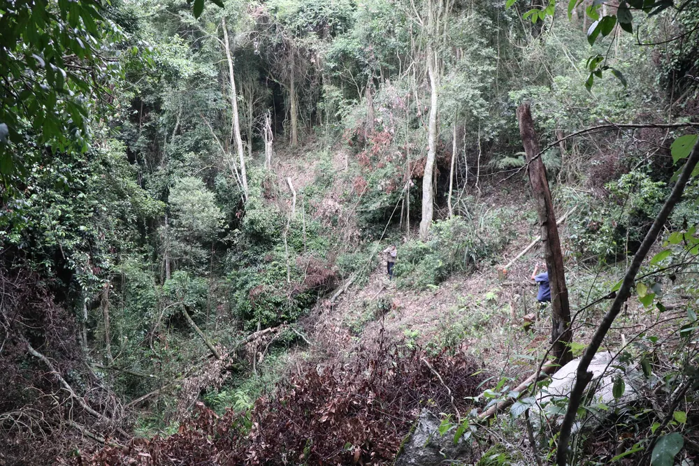 Rừng đặc dụng Đà Lạt bị phá, lấn chiếm ảnh 1