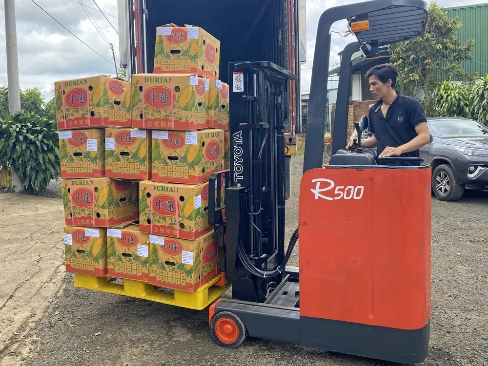 Lâm Đồng lần đầu xuất khẩu chính ngạch hơn 70 tấn sầu riêng sang Trung Quốc ảnh 2