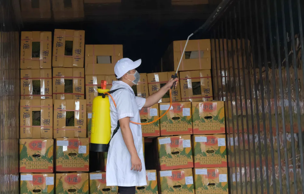 Lâm Đồng lần đầu xuất khẩu chính ngạch hơn 70 tấn sầu riêng sang Trung Quốc ảnh 3