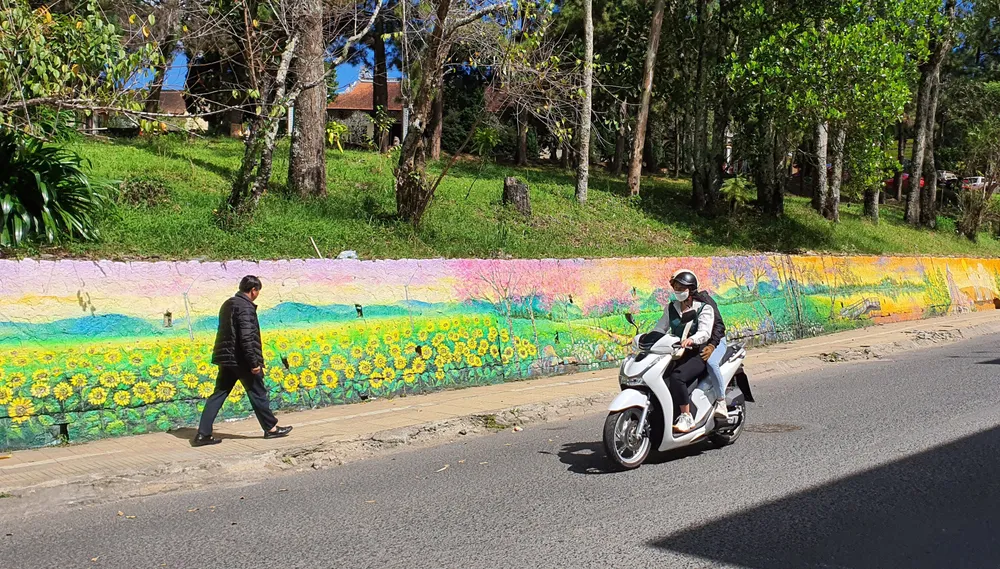 Loạt tranh trên bờ taluy tô điểm Đà Lạt ảnh 8