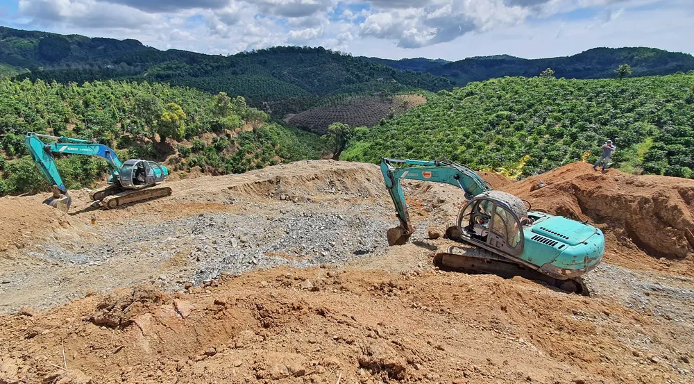 Lâm Đồng: Xử phạt 50 triệu đồng vì san ủi đất rừng quy mô lớn ảnh 2