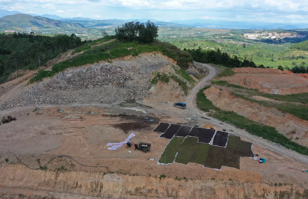 Lâm Đồng: Xử phạt 50 triệu đồng vì san ủi đất rừng quy mô lớn ảnh 1