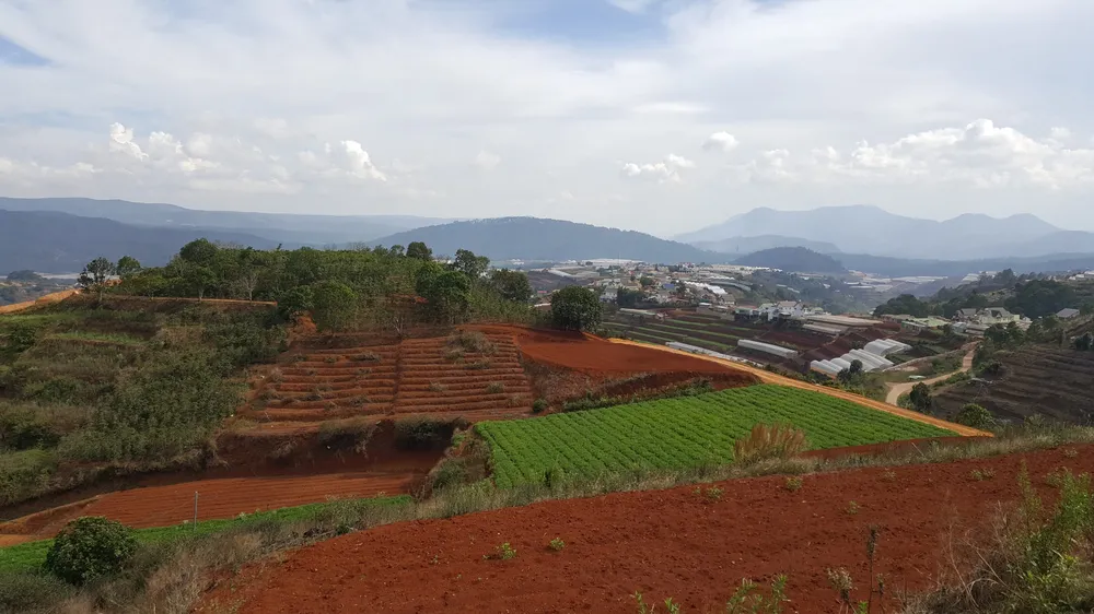 Giao công an điều tra việc bán rẻ bất thường một lô đất tại Đà Lạt ảnh 1