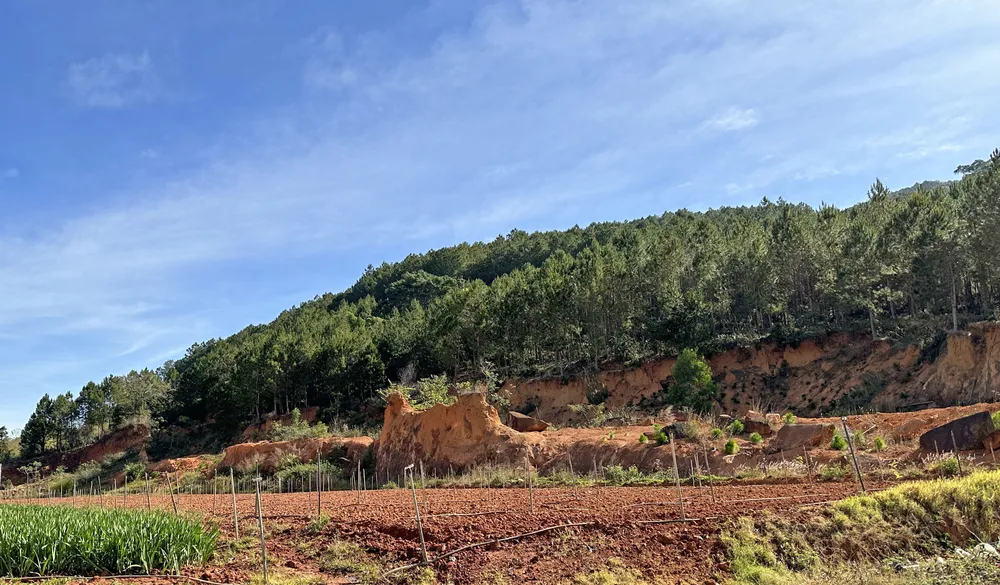 Khu vực đất tái định canh cho người dân có đất bị thu hồi làm hồ chứa nước Ta Hoét. Ảnh: ĐOÀN KIÊN