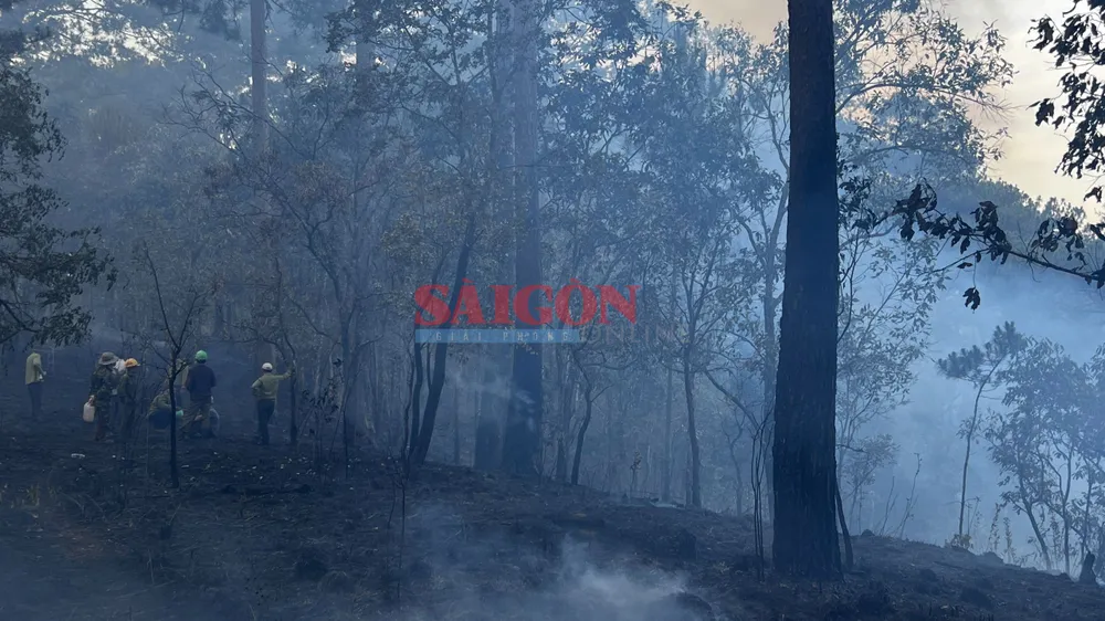 Dù phát hiện từ sớm nhưng vụ cháy rừng lan nhanh khiến công tác cứu hộ gặp nhiều khó khăn. Ảnh: CTV