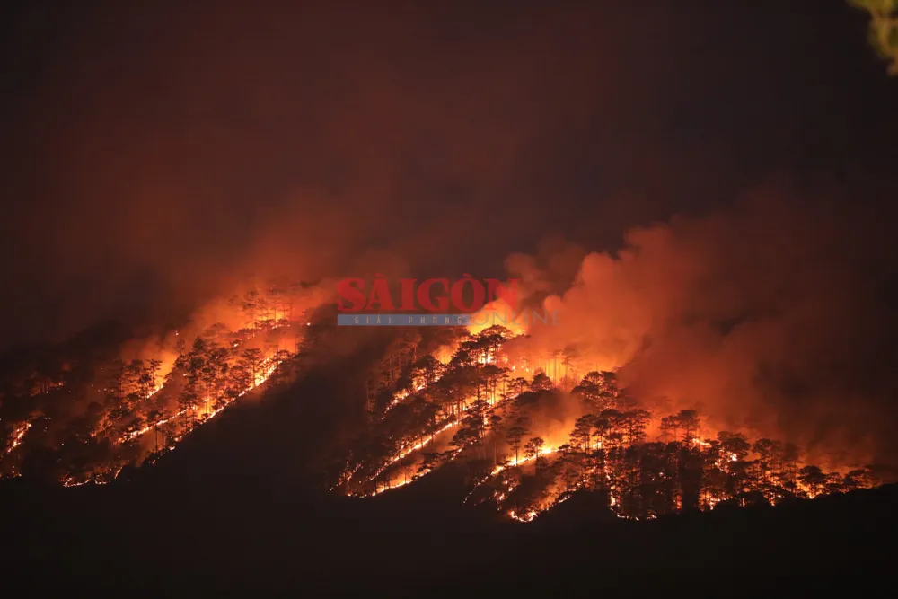 Đám cháy rừng bao trùm khu vực rộng lớn. Ảnh: ĐOÀN KIÊN