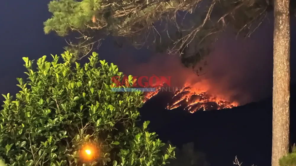 Vụ cháy rừng có thể quan sát từ trung tâm TP Đà Lạt, cách hiện trường khoảng 10km. Ảnh: ĐOÀN KIÊN