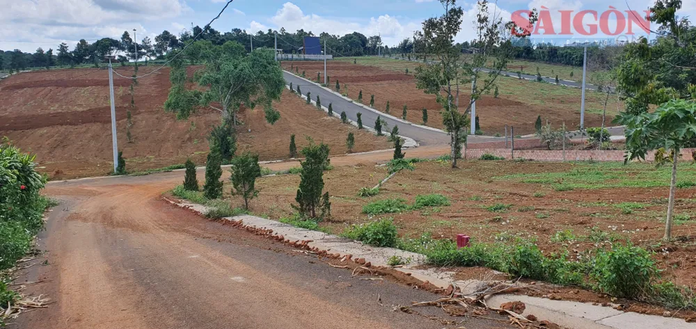 Khu đất vốn là đồi chè, cà phê được người dân làm đường, phân lô trên địa bàn TP Bảo Lộc. Ảnh: ĐOÀN KIÊN Khu đất vốn là đồi chè, cà phê được người dân làm đường, phân lô trên địa bàn TP Bảo Lộc. Ảnh: ĐOÀN KIÊN