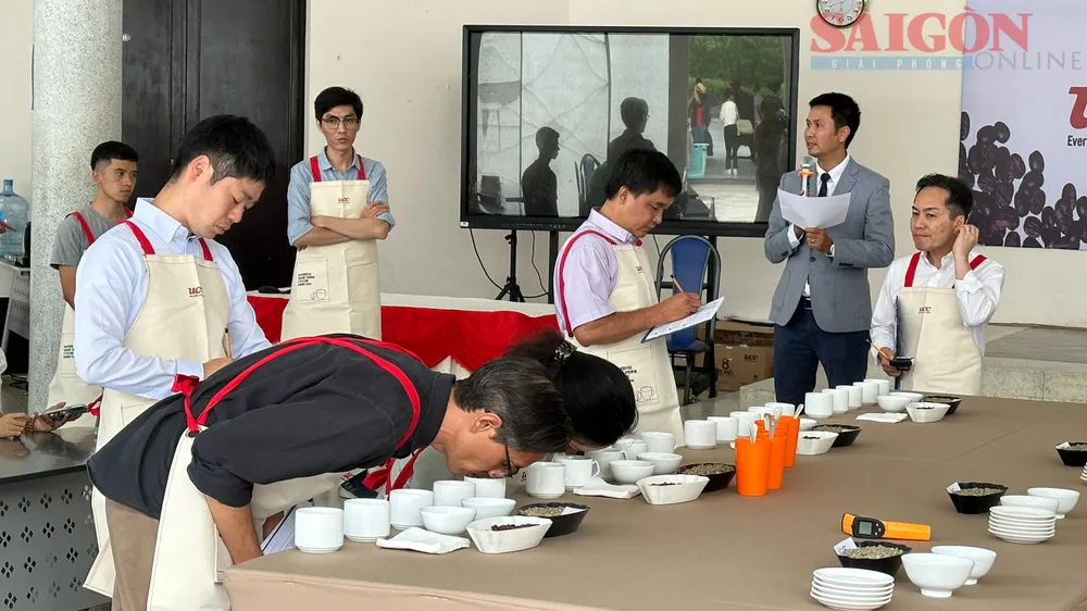 Ban giám khảo đánh giá chất lượng cà phê bằng khứu giác. Ảnh: Đ.K