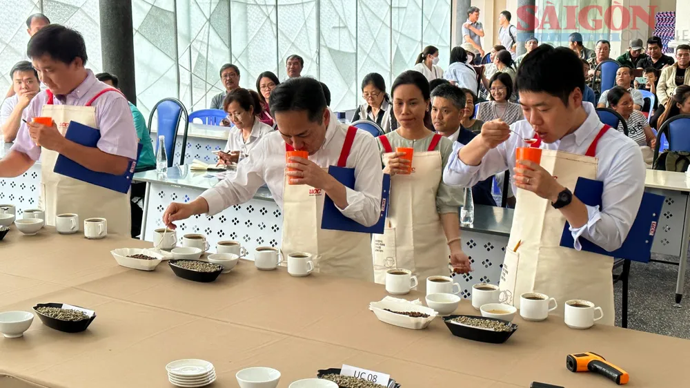 Nếm hương vị cà phê để chọn ra mẫu có chất lượng tốt nhất. Ảnh: Đ.K