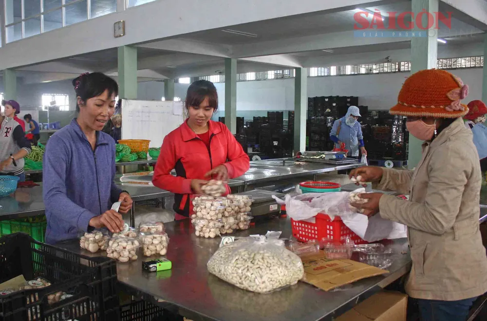 Nâng cao nhận thức về an toàn thực phẩm, thay đổi hành vi, phong tục, tập quán sản xuất, kinh doanh là mục tiêu dự án hướng tới. Ảnh: ĐOÀN KIÊN