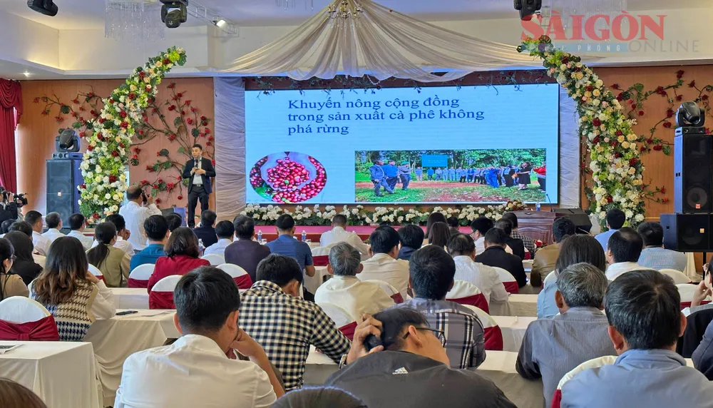 Quang cảnh buổi tọa đàm. Ảnh: ĐOÀN KIÊN