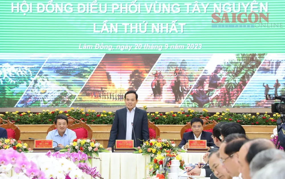 Phó Thủ tướng Chính phủ Trần Lưu Quang phát biểu tại hội nghị. Ảnh: ĐOÀN KIÊN