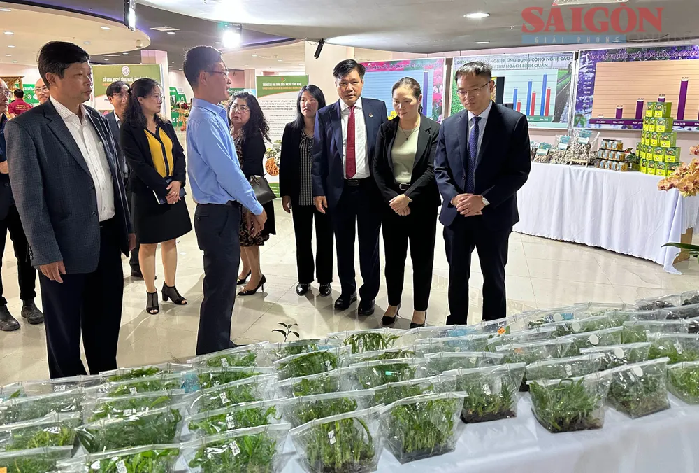 Sản phẩm nuôi cấy mô trưng bày tại triển lãm. Nông nghiệp ứng dụng công nghệ cao là một trong những thế mạnh của Đà Lạt. Ảnh: ĐOÀN KIÊN