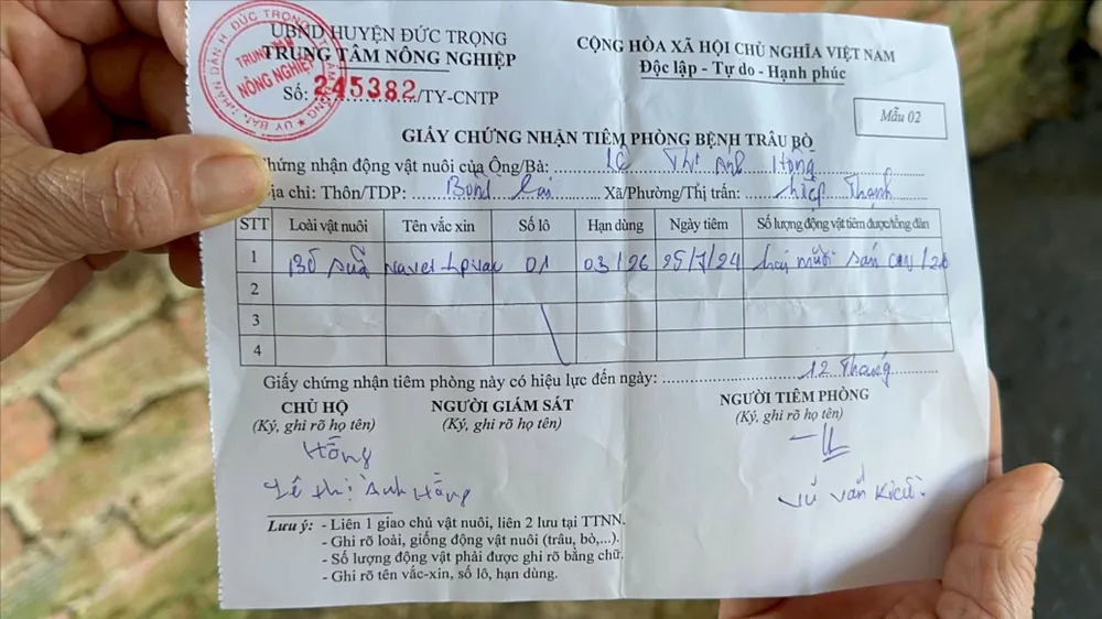 562fe486f9d05d8e04c116 2.jpg