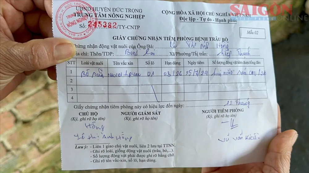 562fe486f9d05d8e04c116 2.jpg