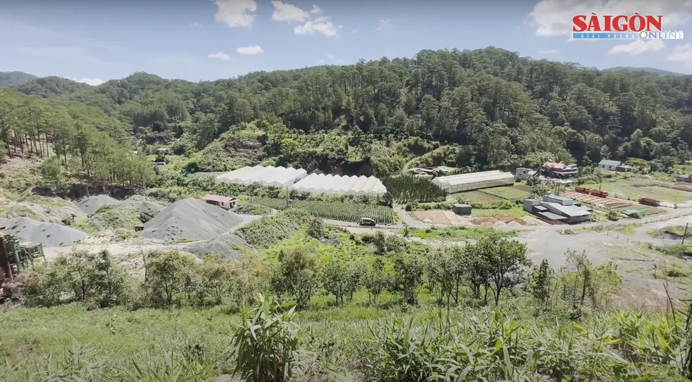 Screenshot 2025-08-07 at 14.47.00.png