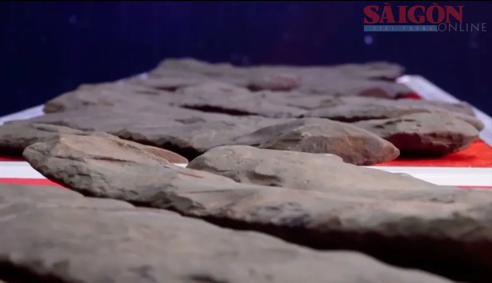 Screenshot 2025-09-12 at 11.00.57 copy.jpg