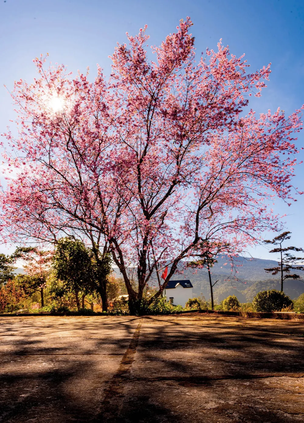 b51329f7c91846461f096 copy.jpg