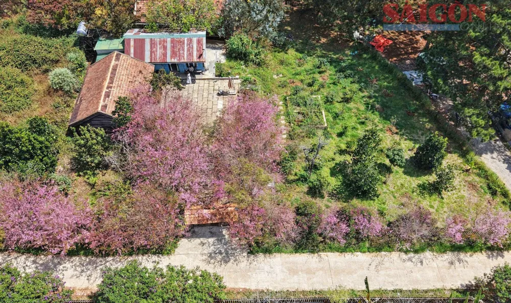 307322cc85aa0bf452bb copy.jpg