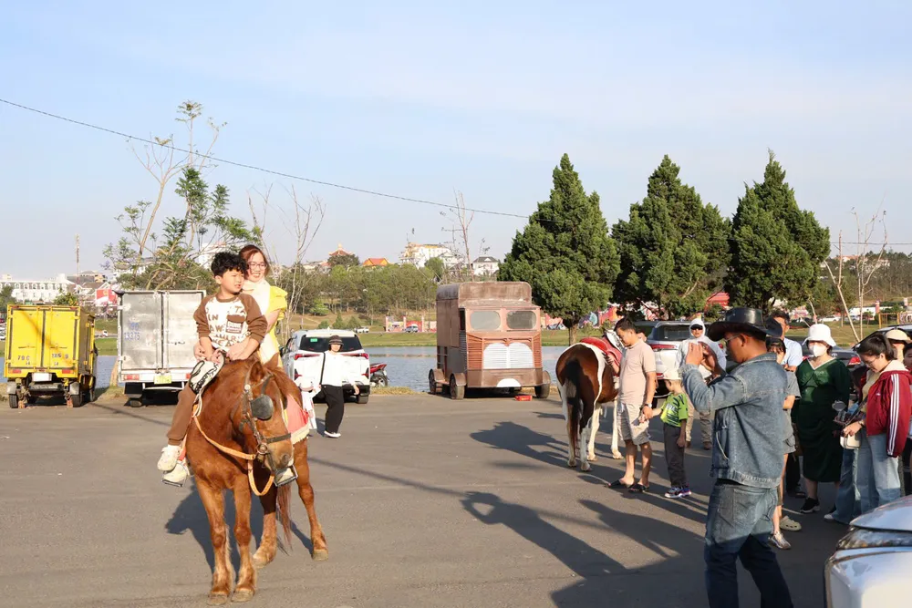 3609135619815528961 (2).jpg