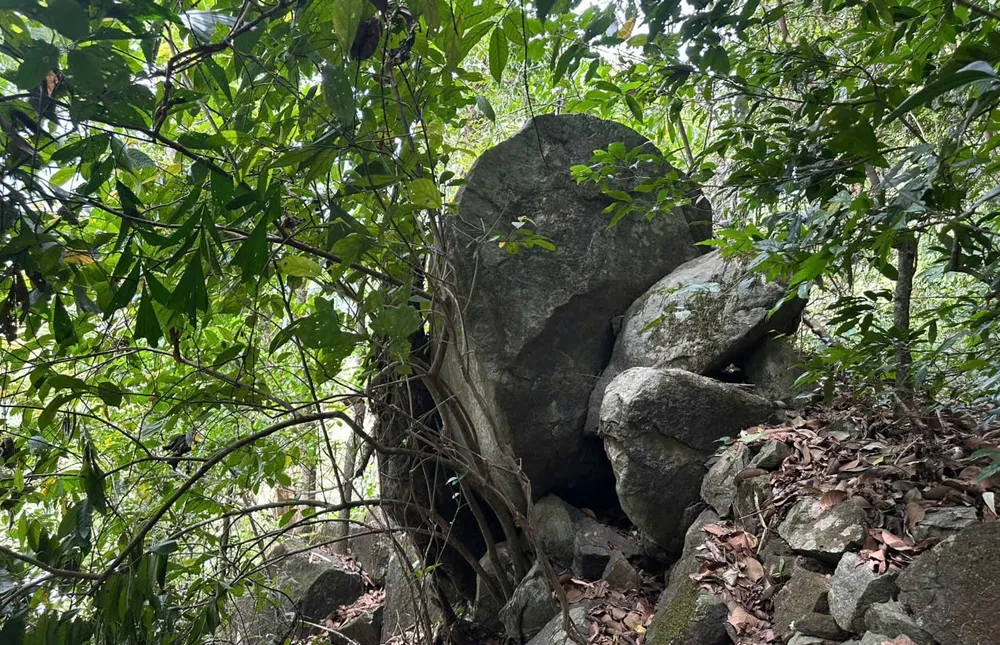 3520668935909818562 (1).jpg