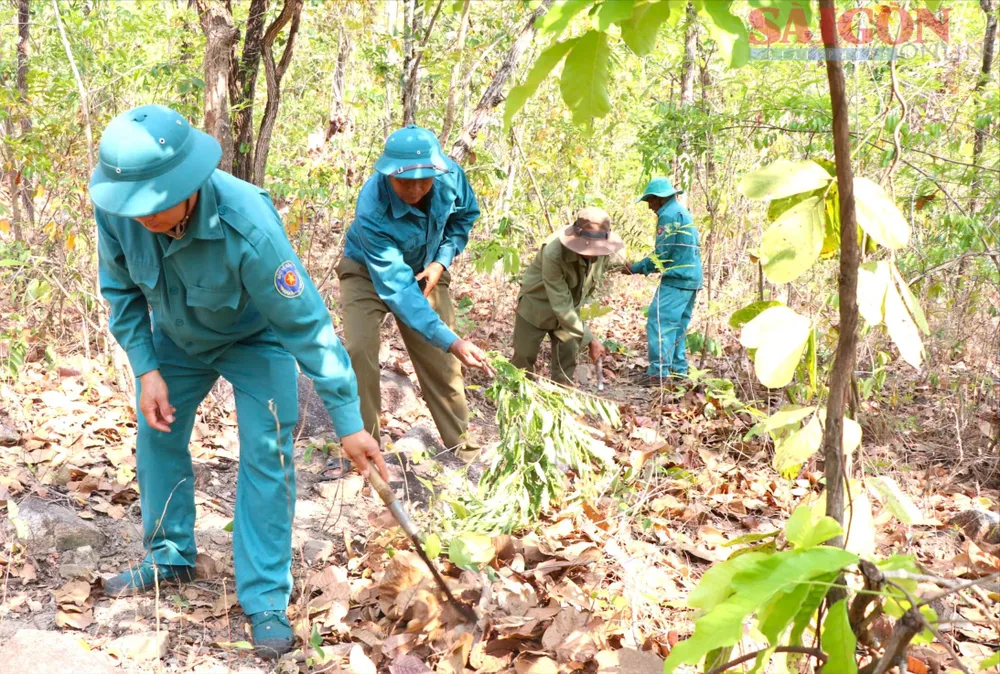 Nhân viên Ban quản lý rừng phòng hộ Krôngpha (tỉnh Khánh Hòa) dọn thực bì, tạo đường băng cản lửa nhằm phòng chống cháy rừng Ảnh TIẾN THẮNG.jpg