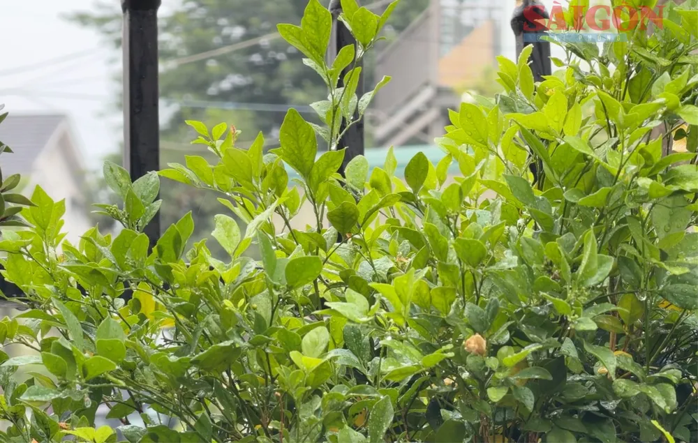 Screenshot 2026-04-11 at 16.35.27.png