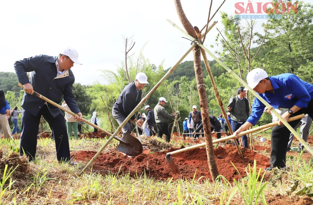 IMG_8907 copy.jpg