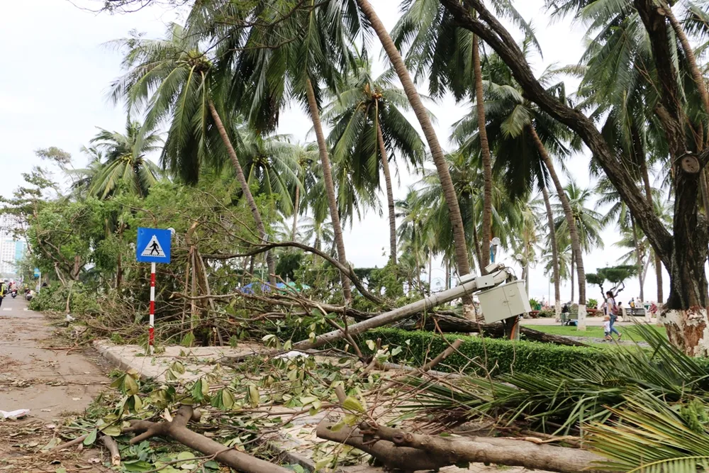 Bão số 12 phá tan mảng xanh Nha Trang ảnh 8