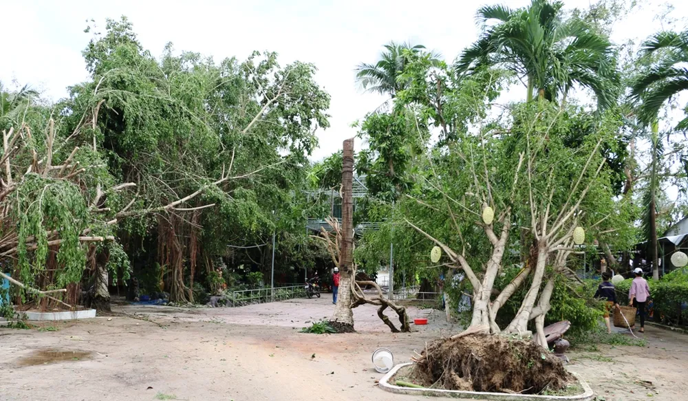 Bão số 12 phá tan mảng xanh Nha Trang ảnh 4