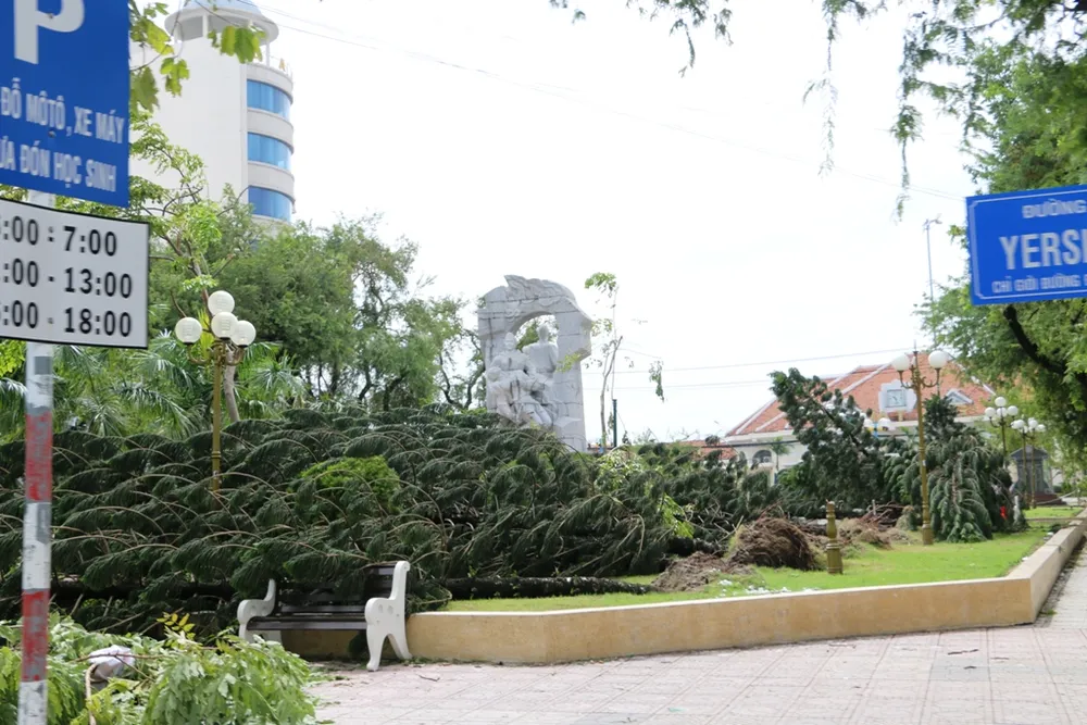 Bão số 12 phá tan mảng xanh Nha Trang ảnh 7