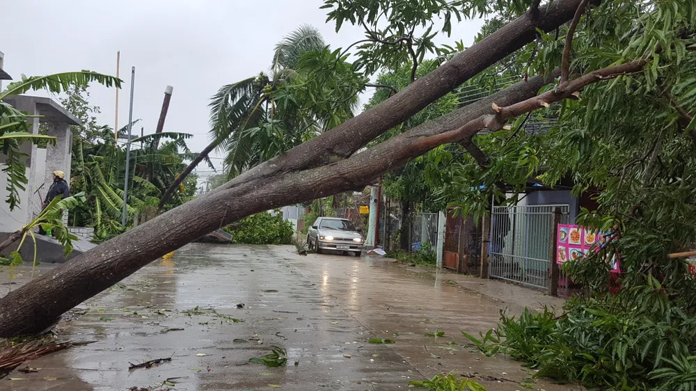 Bão số 12 phá tan mảng xanh Nha Trang ảnh 15