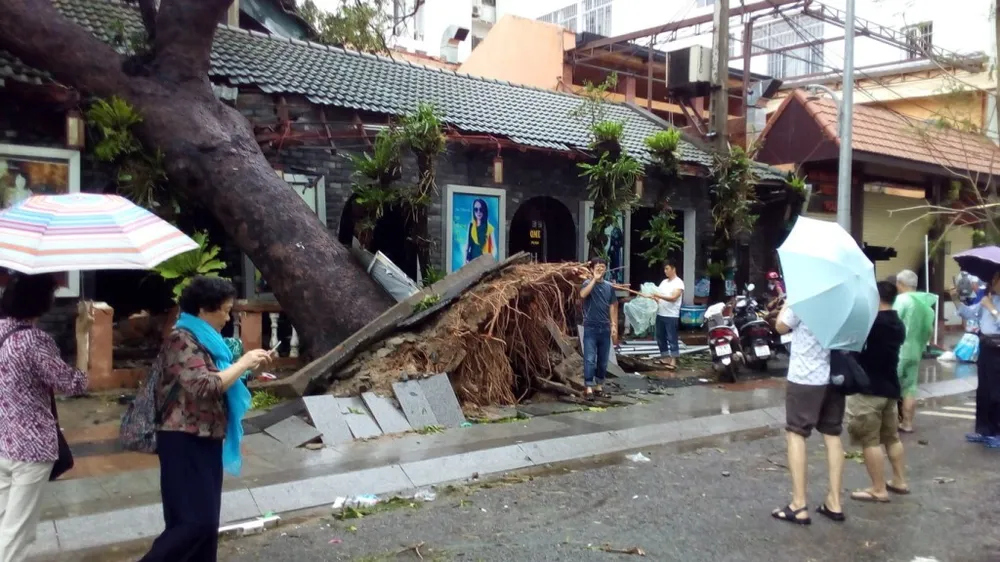 Bão số 12 phá tan mảng xanh Nha Trang ảnh 16