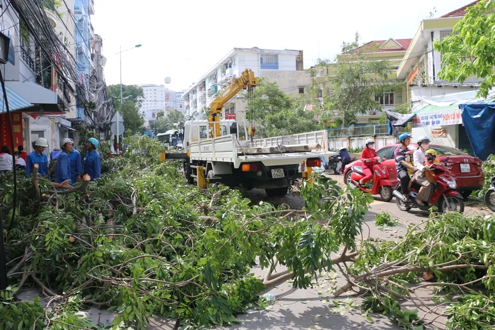 Bão số 12 phá tan mảng xanh Nha Trang ảnh 10