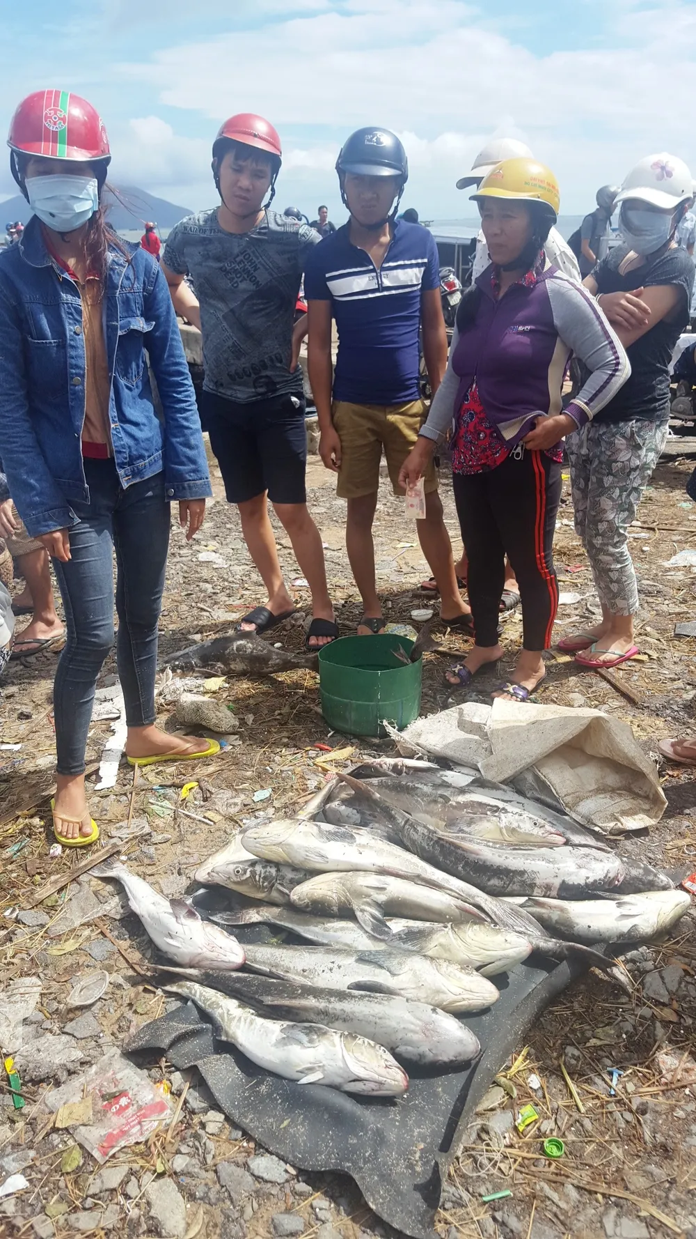 Khánh Hòa ghi nhận 42 người chết do bão số 12 ảnh 2