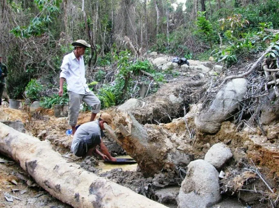 2 phóng viên Báo Khánh Hòa bị hành hung, giam lỏng giữa rừng ảnh 2
