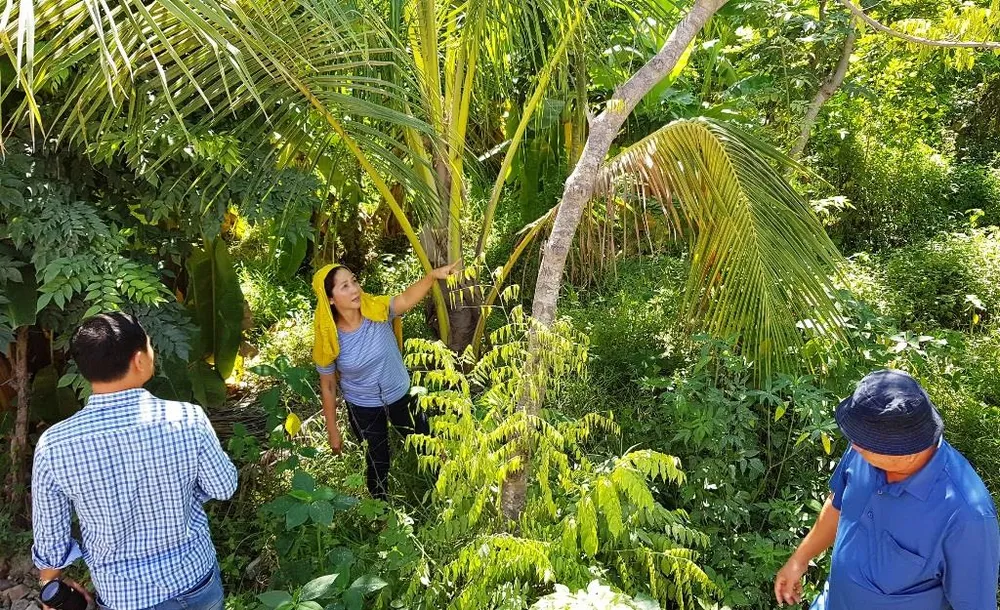 Ám ảnh trạm bê tông không phép ảnh 4