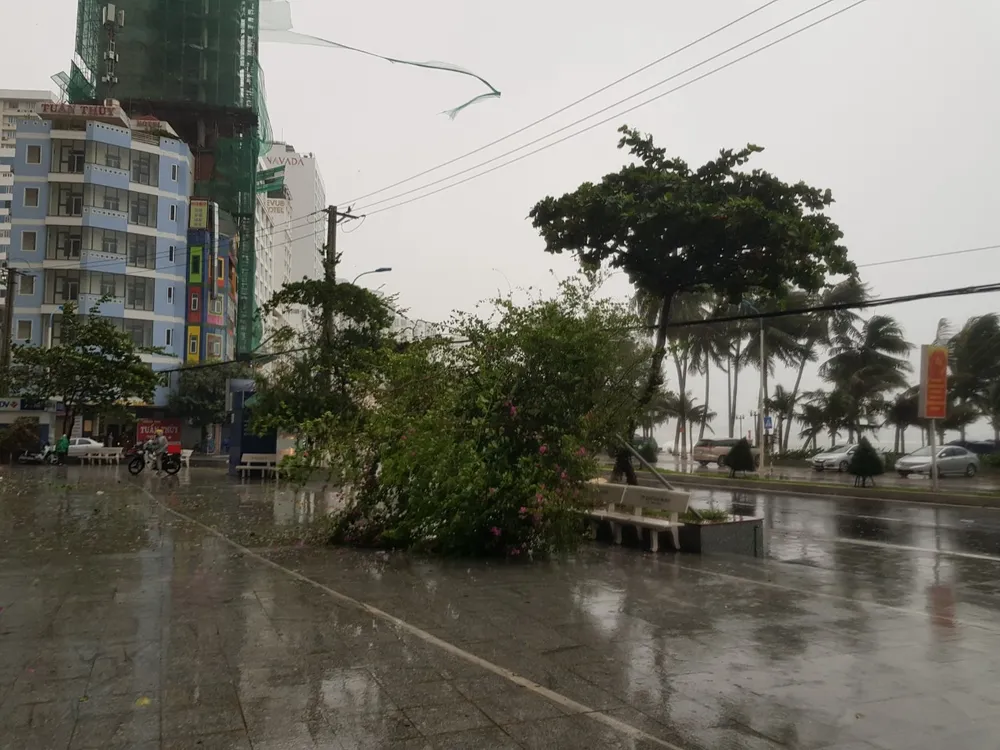 Những thiệt hại ban đầu của cơn bão số 12 ảnh 27