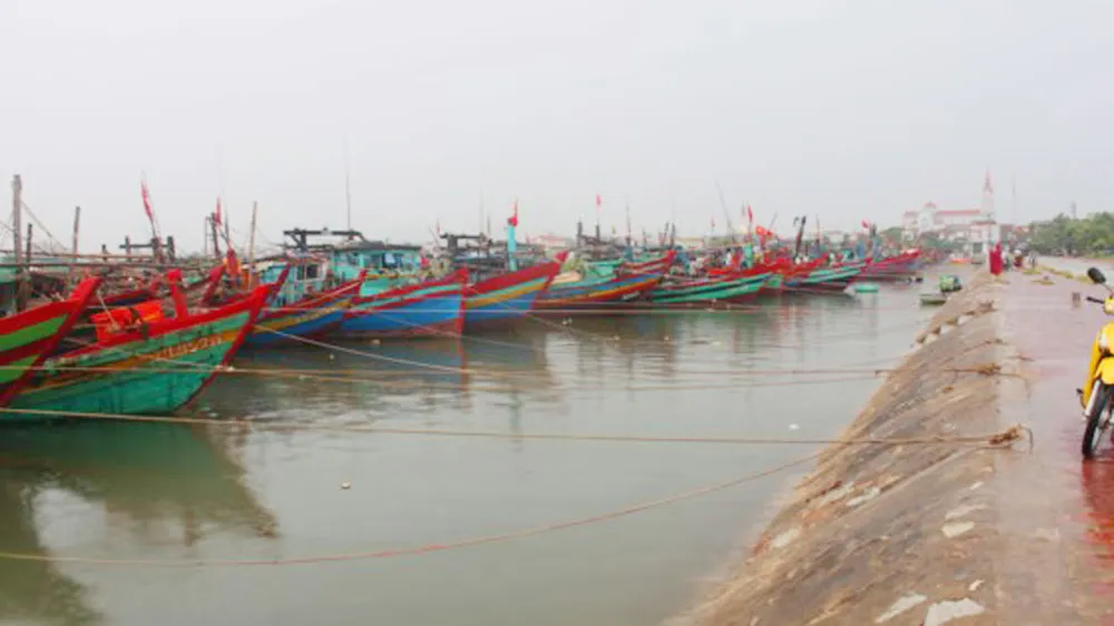 Phó Thủ tướng chỉ đạo khẩn cấp ứng phó bão Doksuri mạnh cấp 12 sẽ đổ bộ vào trưa mai ảnh 2