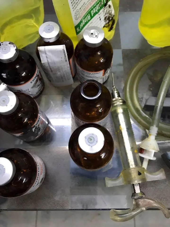 Bắt vụ bơm thuốc an thần vào hàng ngàn con heo ảnh 3