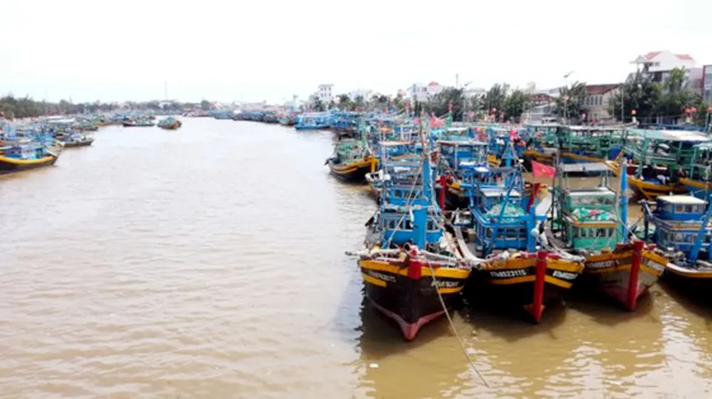 Bão số 12: Nhiều tàu thuyền và lao động còn trong vùng nguy hiểm ảnh 7