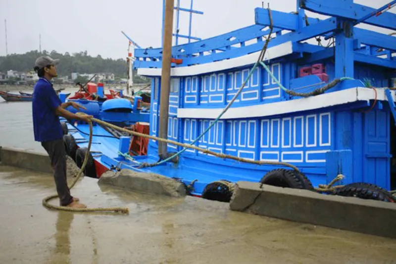 Bão số 12: Nhiều tàu thuyền và lao động còn trong vùng nguy hiểm ảnh 2